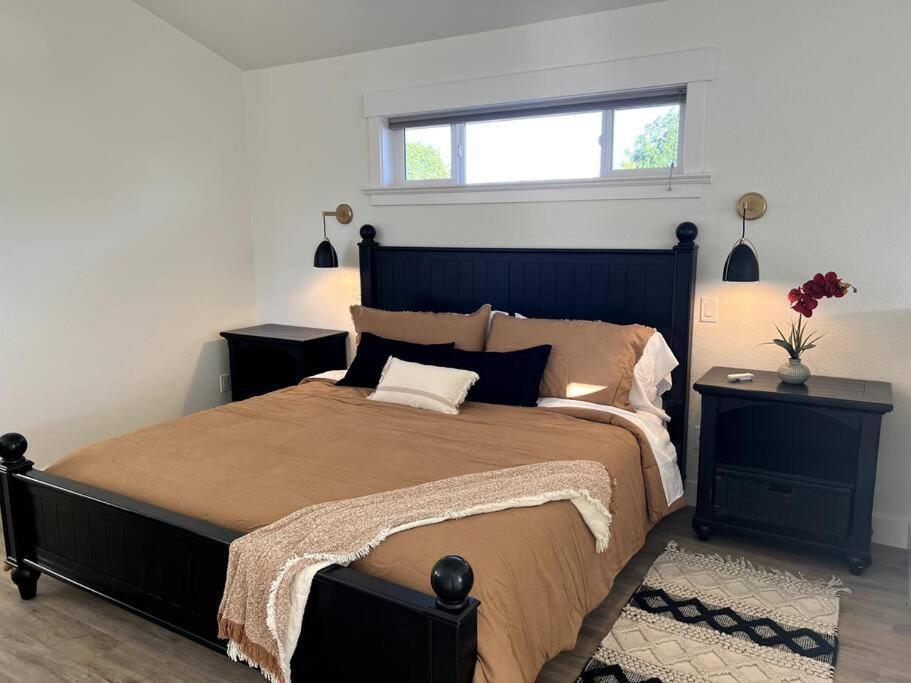 Brand New Custom Built Cottage In Downtown W/Pool! سالم المظهر الخارجي الصورة